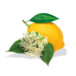 Lemon Elderflower